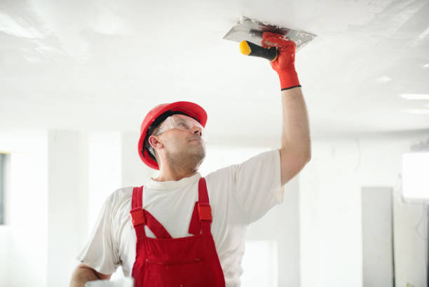 Best Drywall Sanding and Smoothing  in Elkins, WV